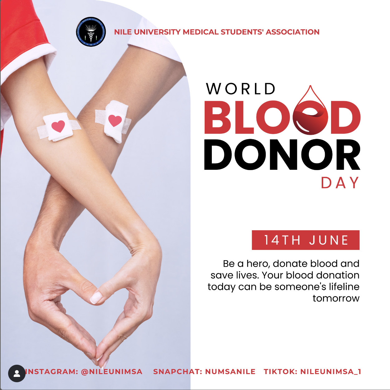 WISE NOTES ON THE THE WORLD BLOOD DONOR DAY 2024