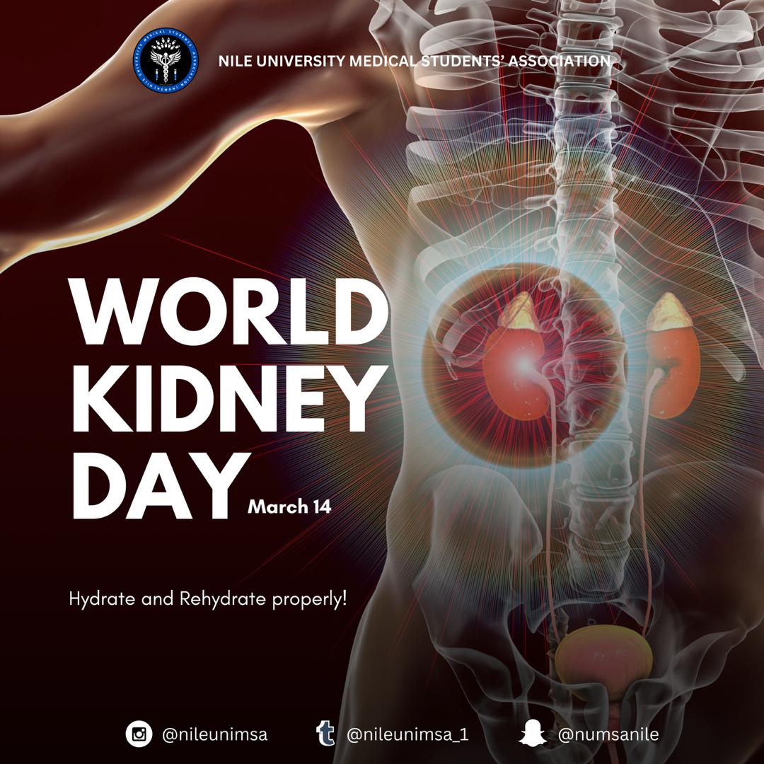 Today, as we celebrate World Kidney Day, let us unite in raising awareness about the importance of kidney health and the steps we can take to protect these vital organs.